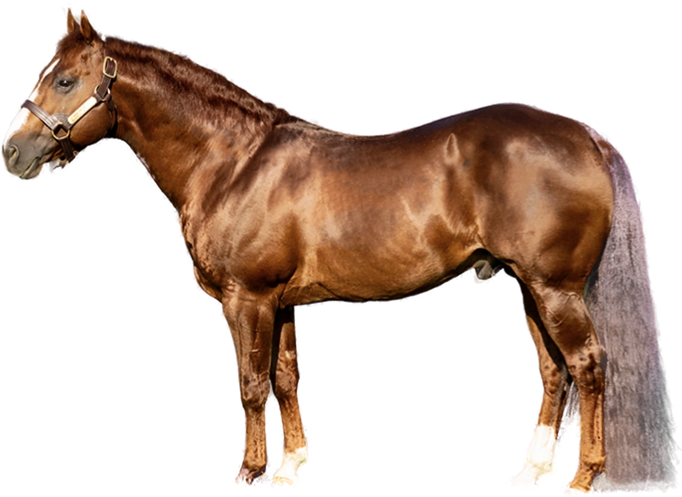 High Brow CD, lifted clear of his photograph.