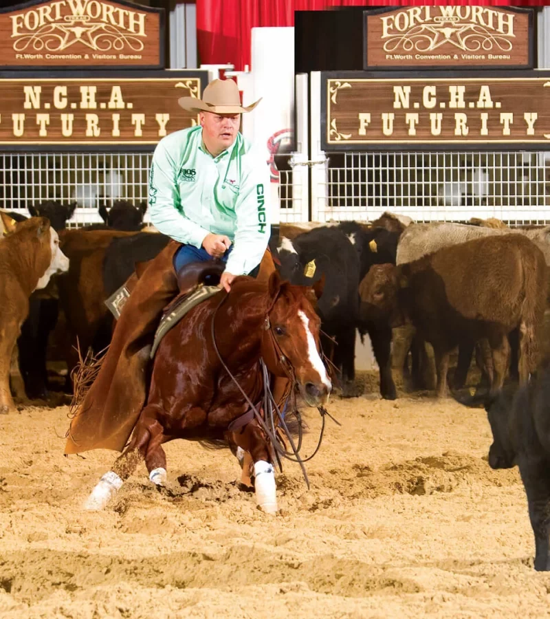 High Brow CD working a cow.